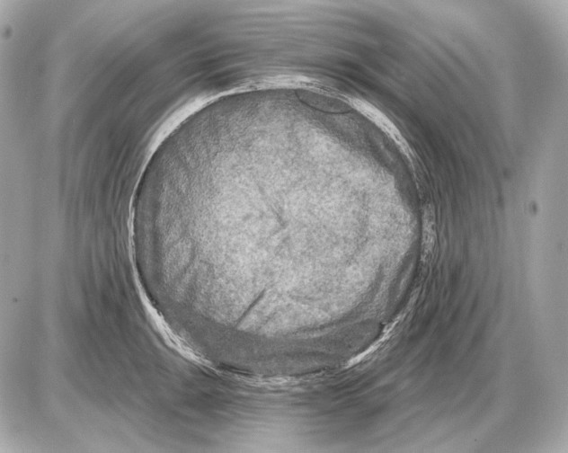 X0000085821047200704091627