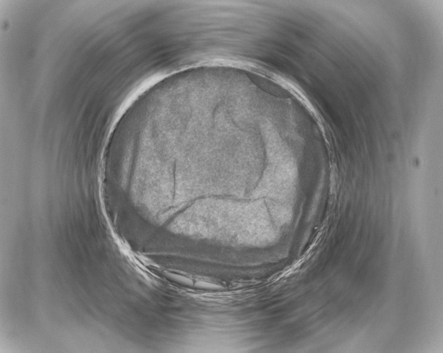 X0000085821048200704091627