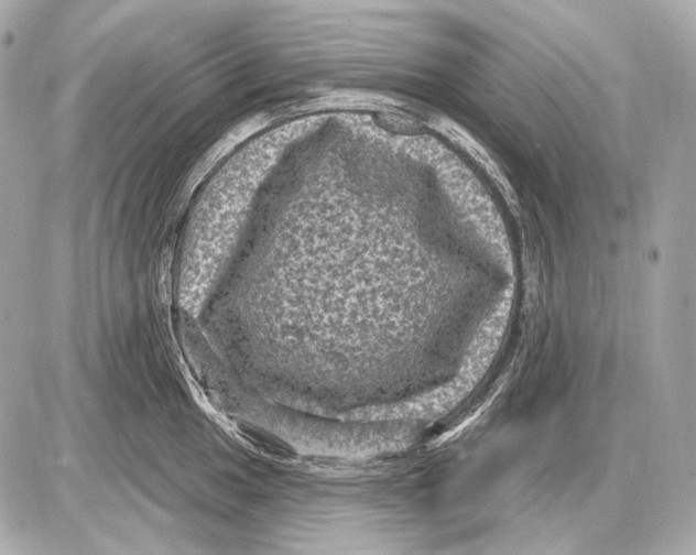 X0000085821049200704091627