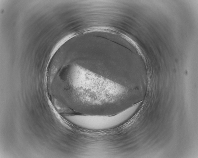 X0000085821050200704091627