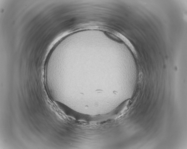 X0000085821051200704091627