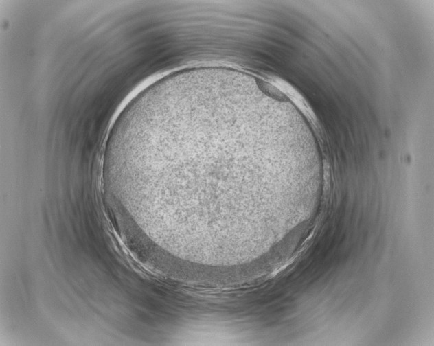 X0000085821052200704091627