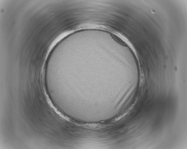 X0000085821053200704091627