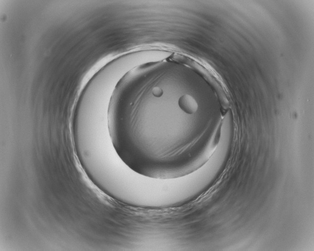 X0000085821054200704091627