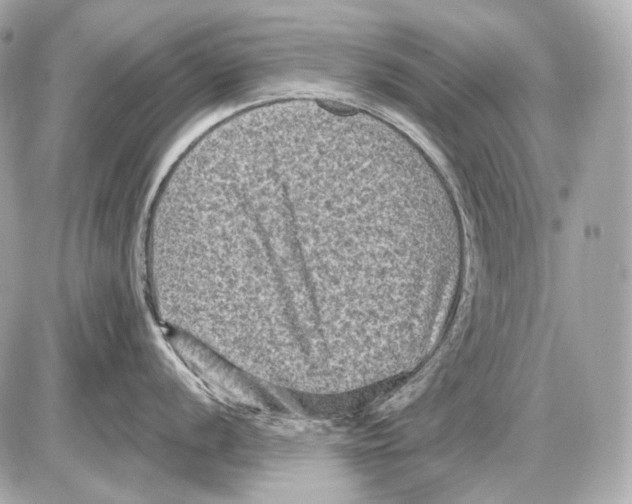 X0000085821056200704091627