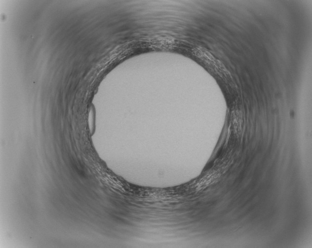 X0000085821057200704091626