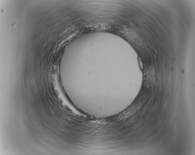 X0000085821058200704091626