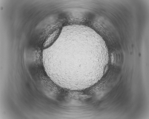 X0000085821059200704091626