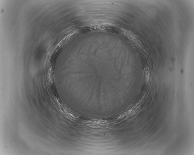 X0000085821060200704091626