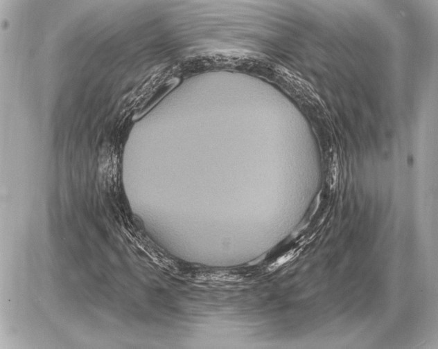 X0000085821061200704091626