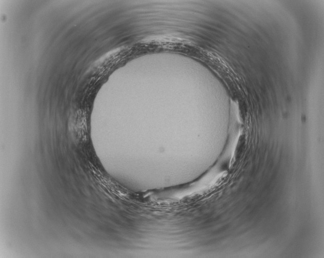 X0000085821062200704091626