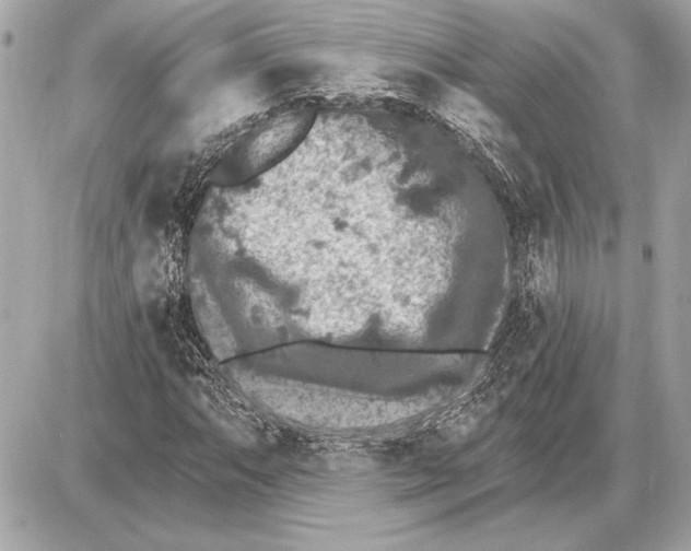 X0000085821063200704091626