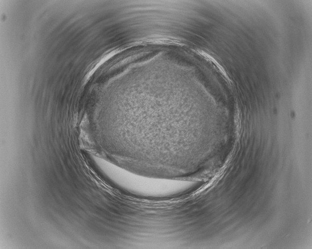 X0000085821065200704091626