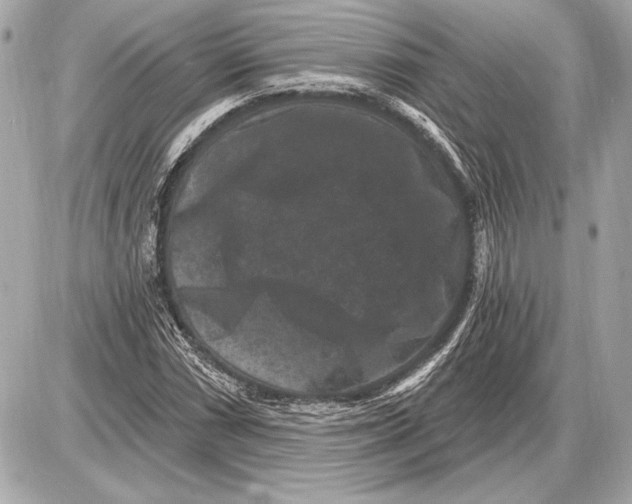 X0000085821066200704091626