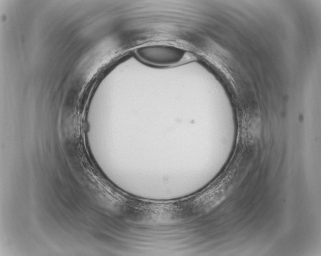 X0000085821067200704091626