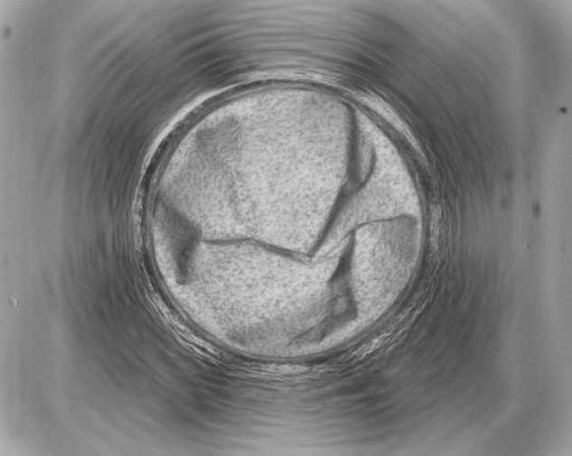 X0000085821068200704091626