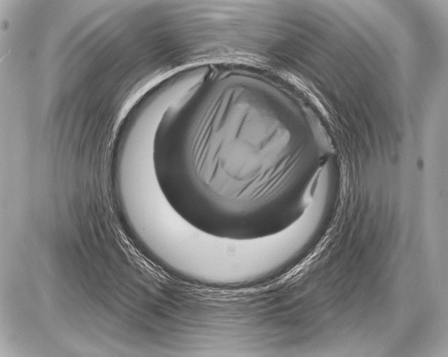 X0000085821069200704091626