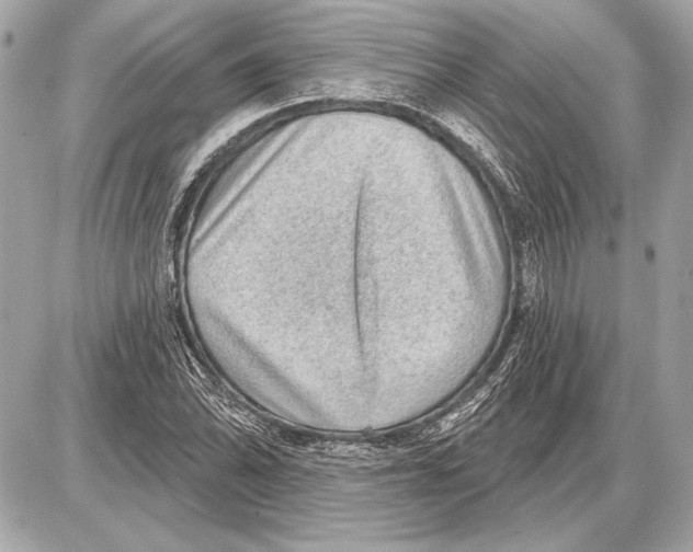 X0000085821070200704091626