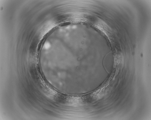 X0000085821071200704091626