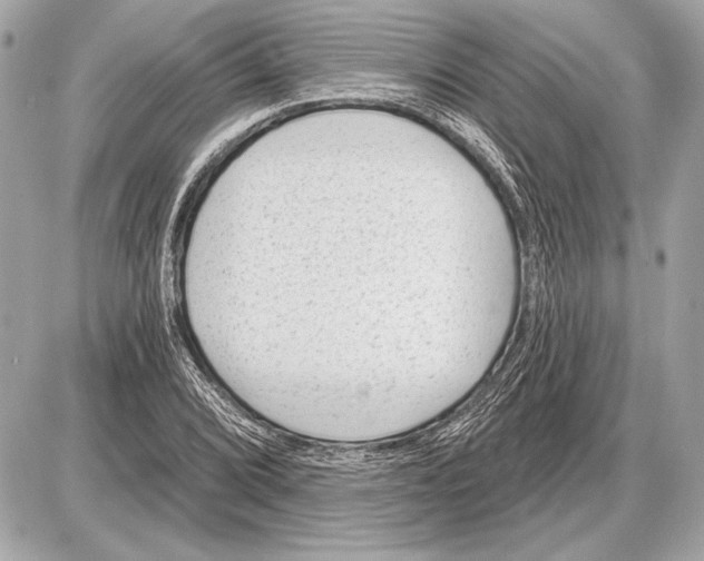 X0000085821072200704091626