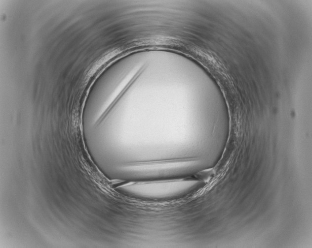 X0000085821073200704091626