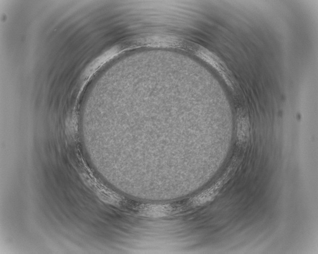 X0000085821074200704091626