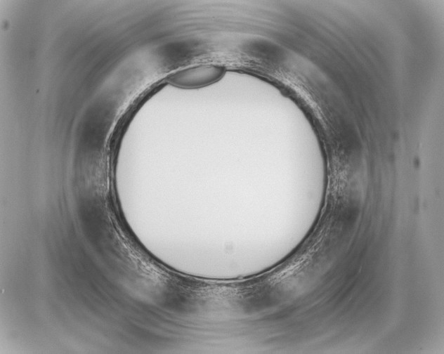 X0000085821075200704091626