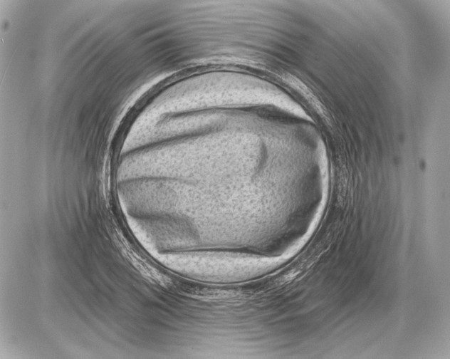 X0000085821076200704091626