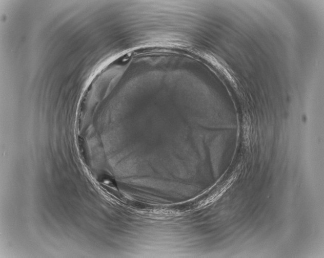 X0000085821077200704091626