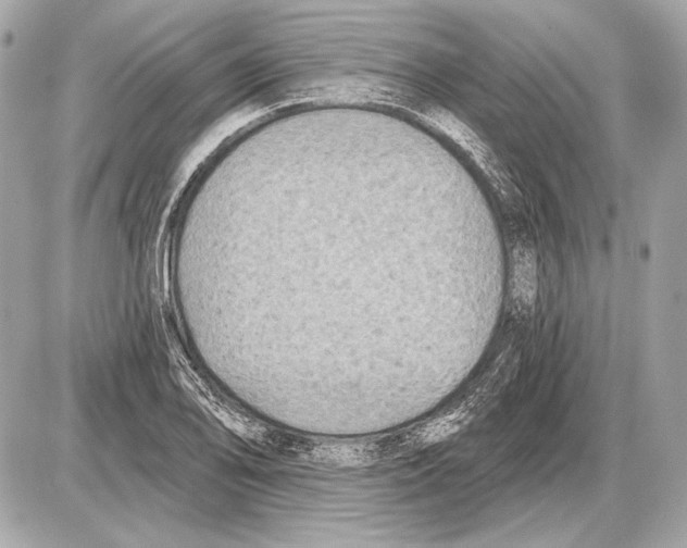 X0000085821078200704091626