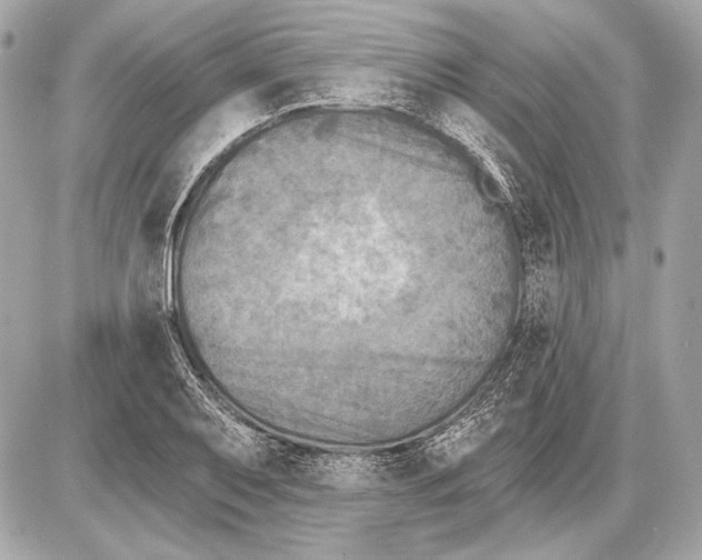 X0000085821079200704091626