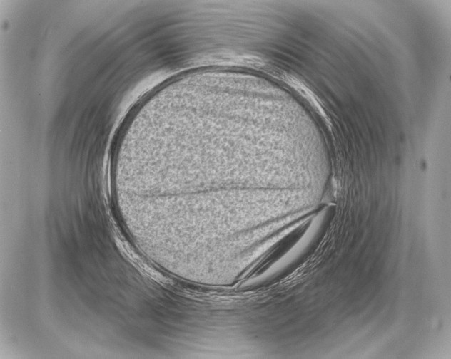 X0000085821080200704091626