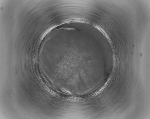 X0000085821081200704091626