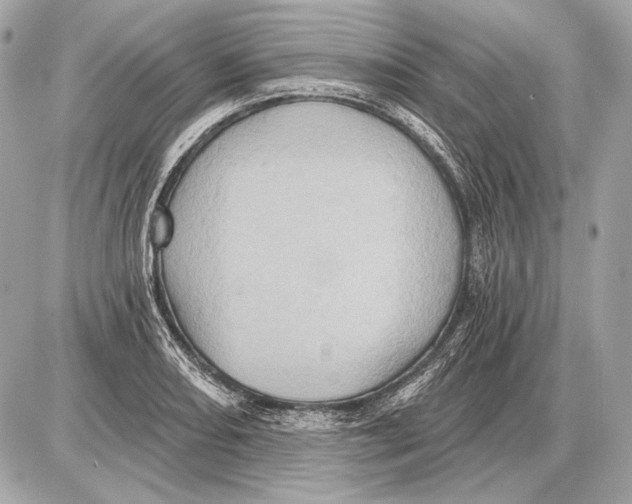 X0000085821082200704091626