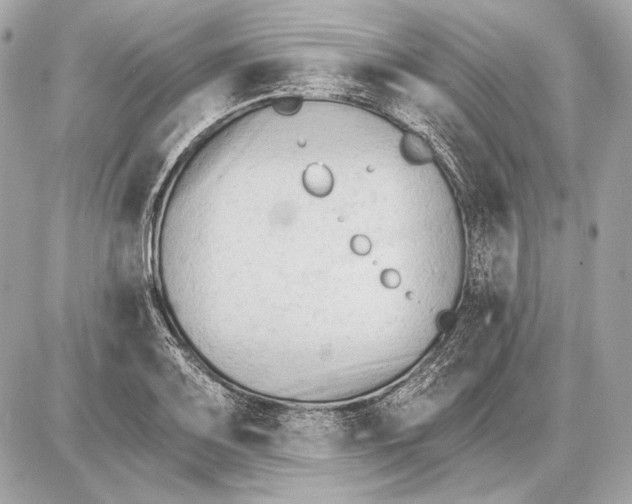 X0000085821083200704091626