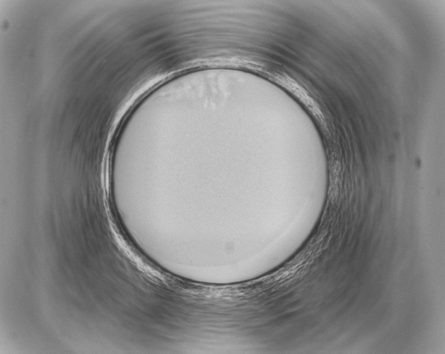 X0000085821084200704091626