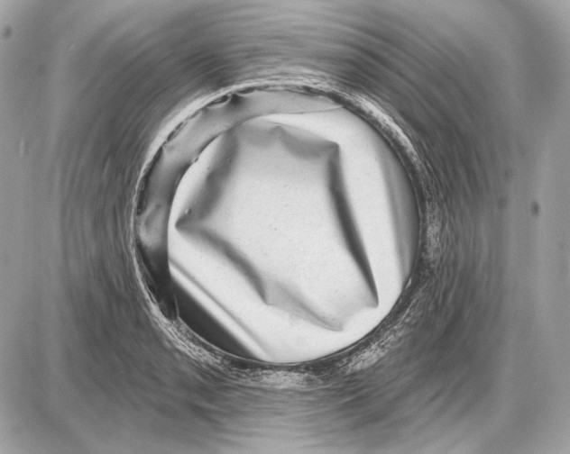 X0000085821085200704091626