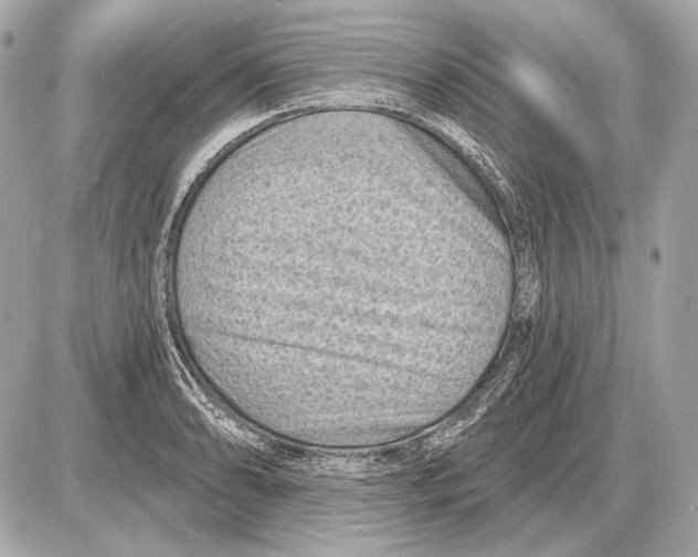 X0000085821086200704091626