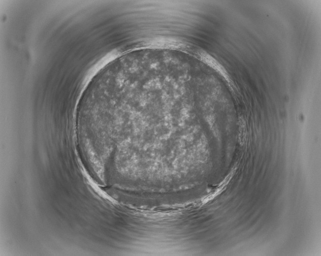 X0000085821087200704091626