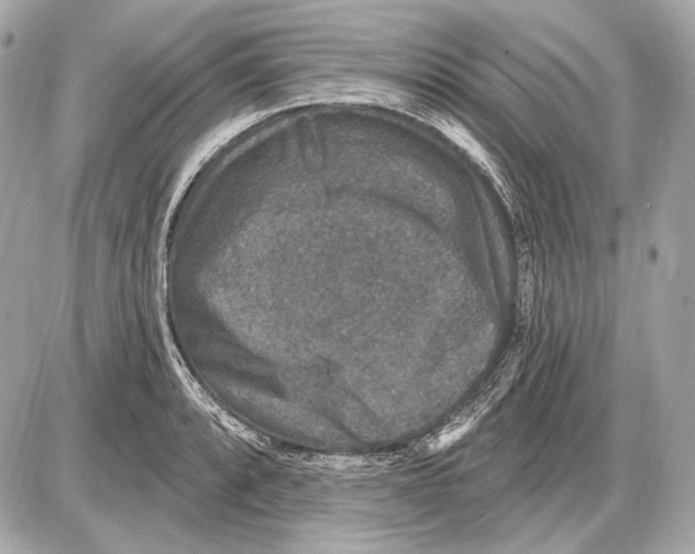 X0000085821088200704091626