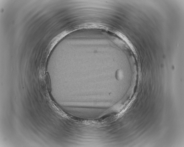 X0000085821089200704091626