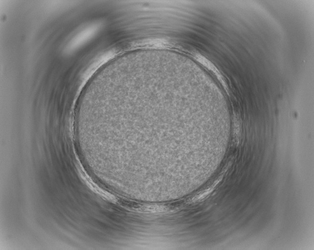 X0000085821090200704091626