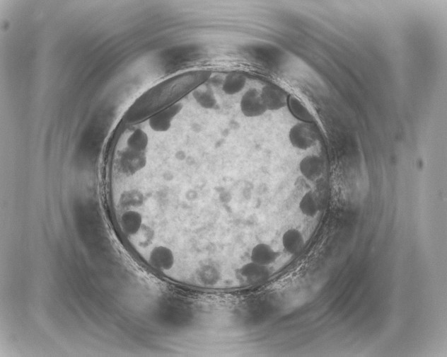 X0000085821091200704091626