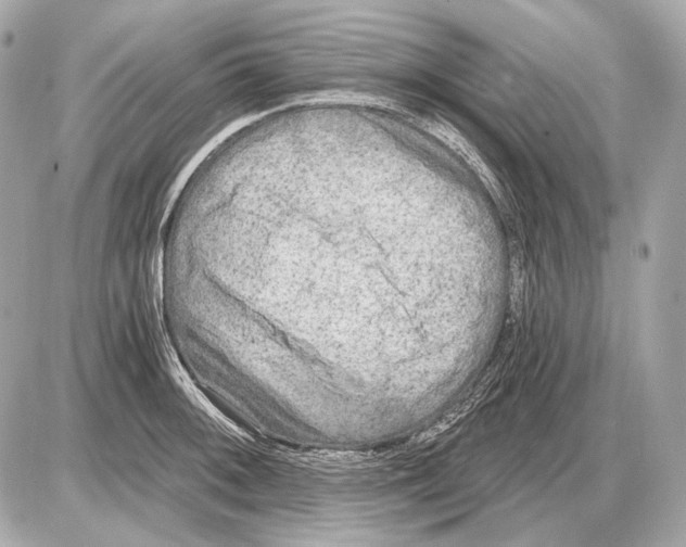 X0000085821092200704091626