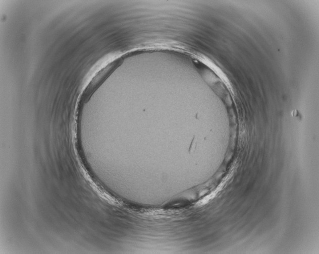 X0000085821093200704091626