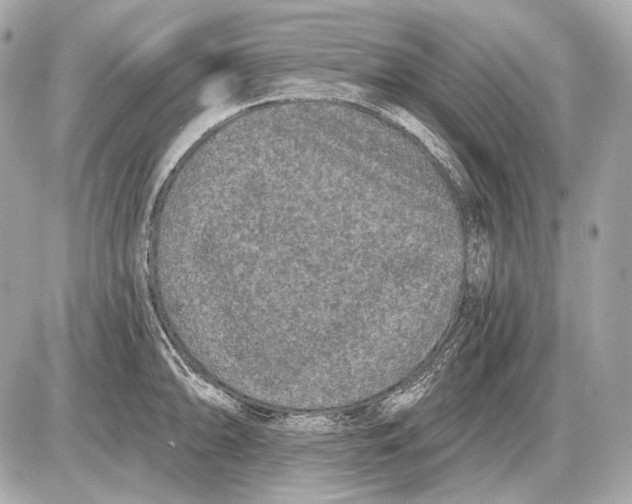 X0000085821094200704091626