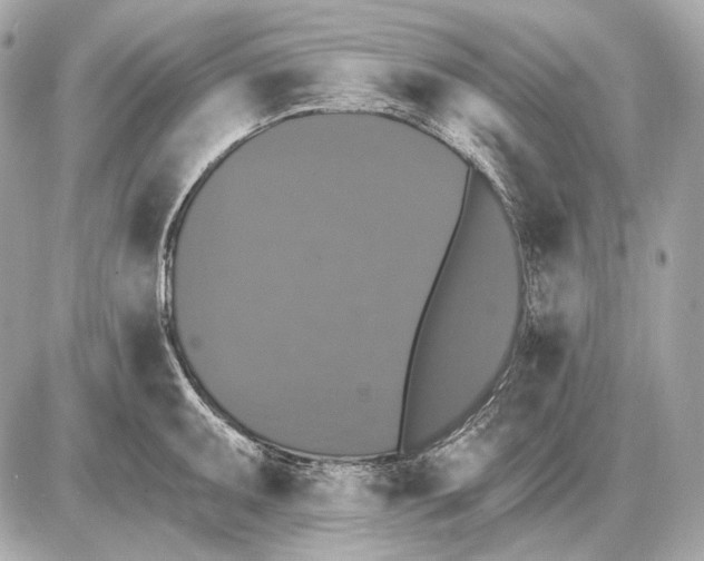 X0000085821095200704091626