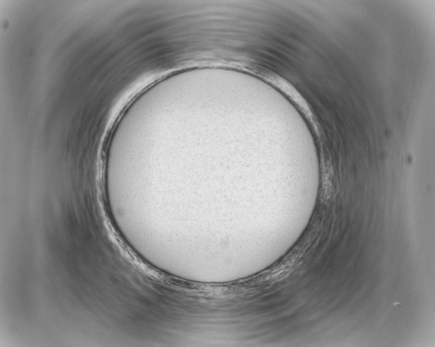 X0000085821096200704091626