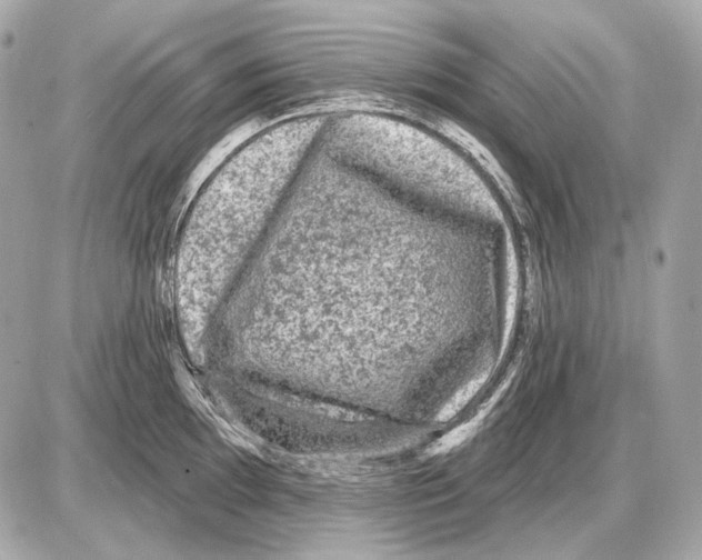 X0000085821097200704091626