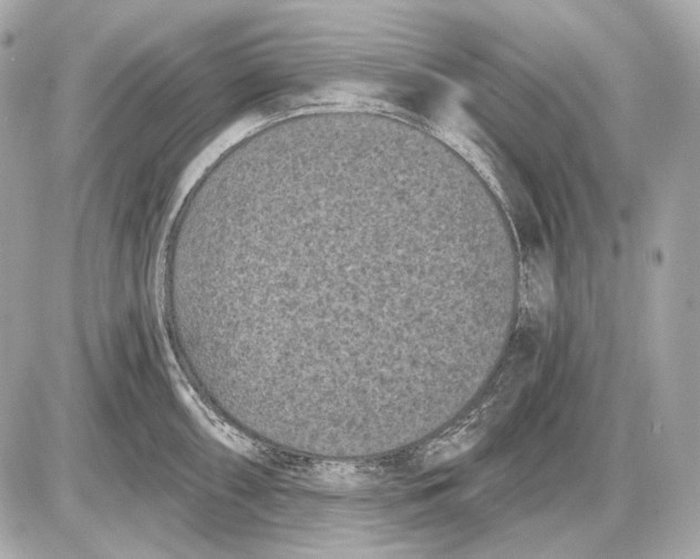 X0000085821098200704091626